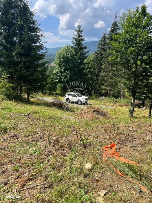Teren intravilan 1074 mp cu utilitati-ideal pensiune, cabane-Colibita