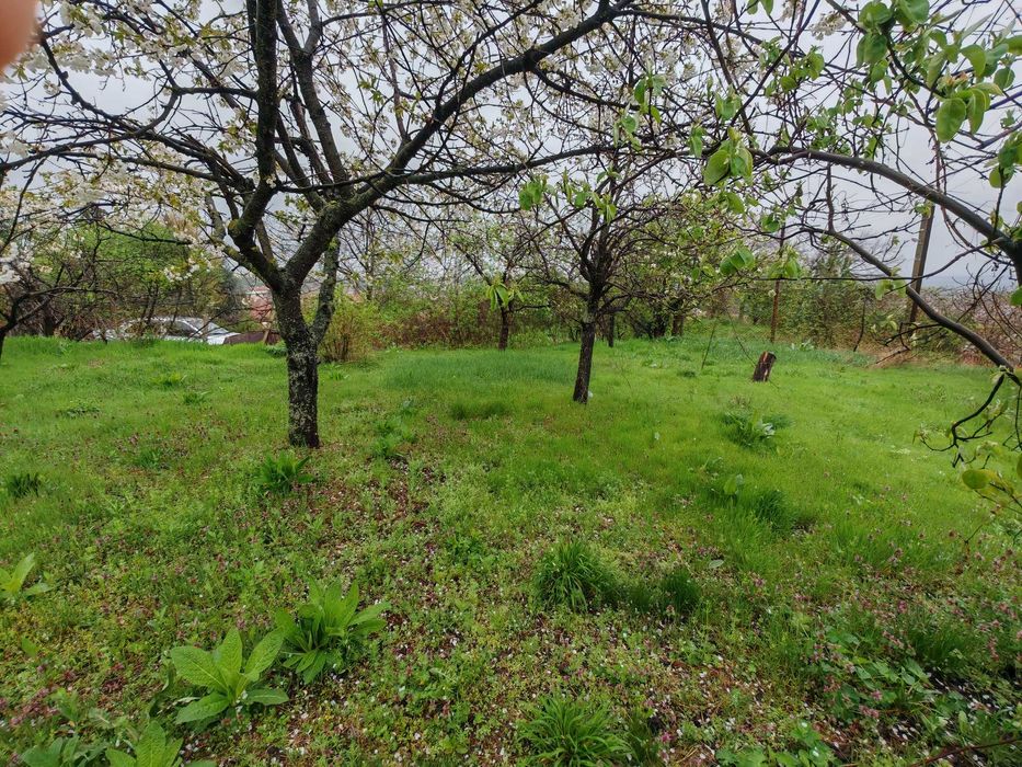 Продава се Къща в Шумен, Дивдядово - 743 кв.м за 89 €/кв.м - Снимка #6