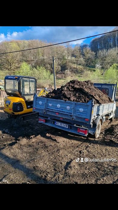 Chisai de gradina sau gazon mranita