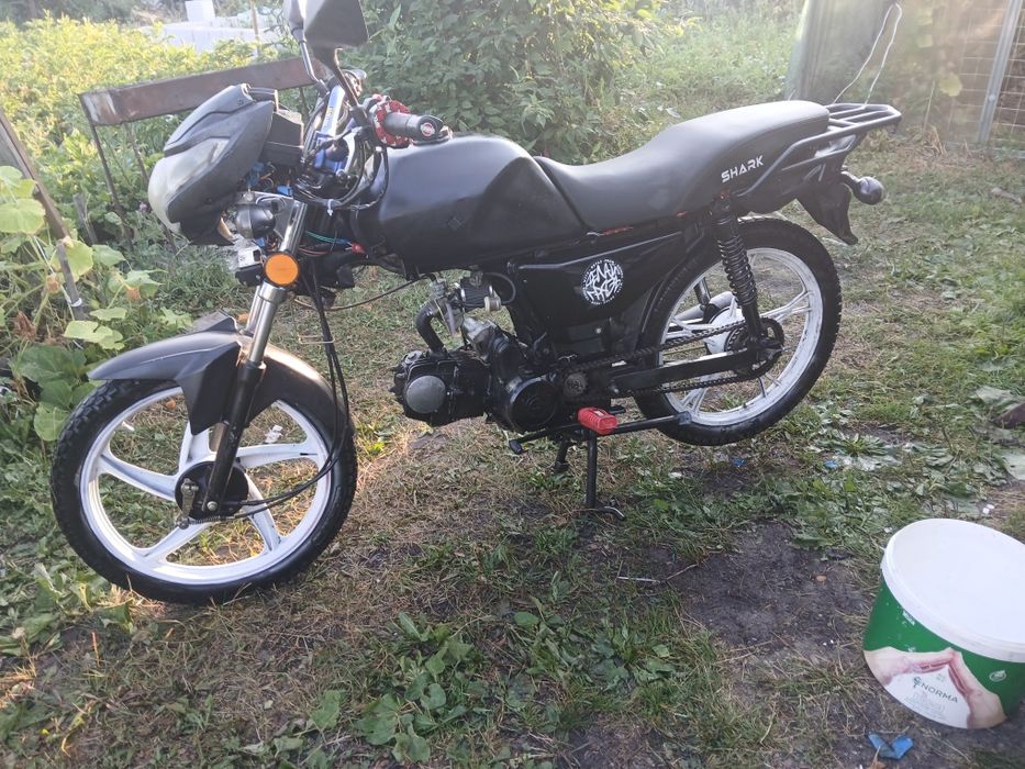 Продам альфу SHARK