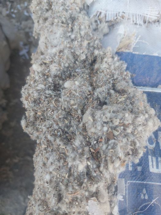 Мол учун ем махсулоти