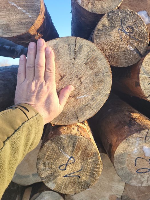 продам лес,кругляк,бревна,круглый,