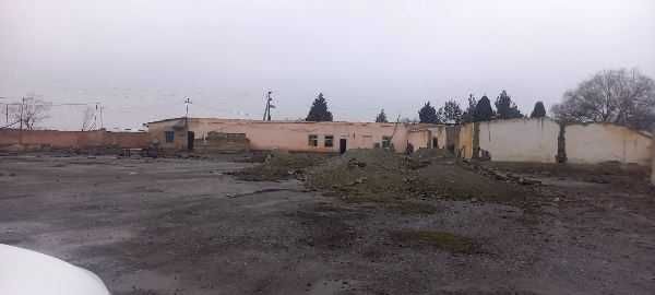 Sardor Farm Kelajagi Fermer xo`jaligi