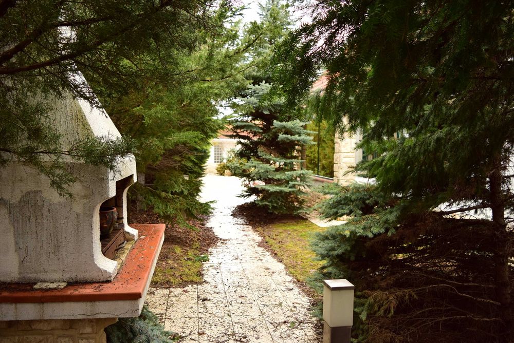 Vilă de Lux | Recent Renovată & Mobilată | Piscină & Grădină 1200 mp