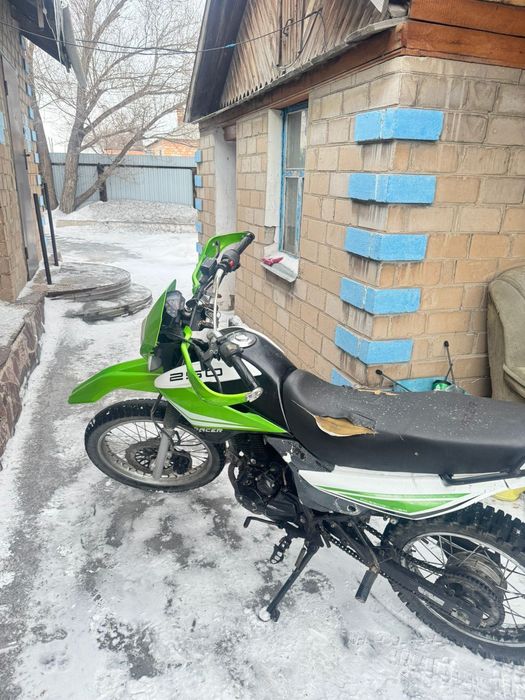 Рейсер пантера Лайт 250