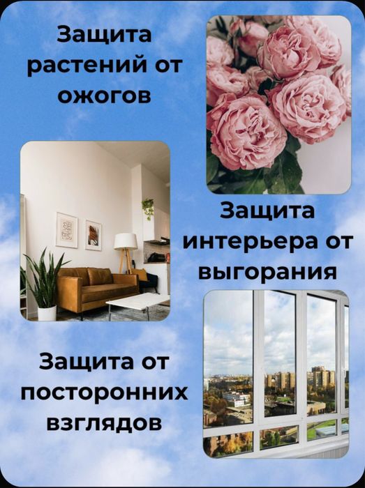 Тонировка   окон