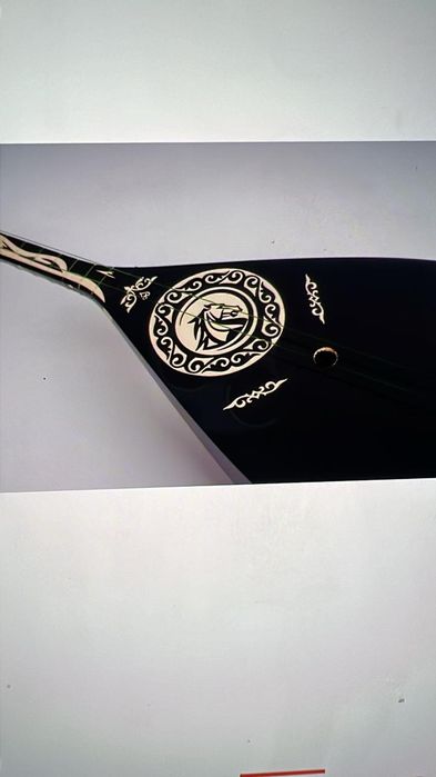 домбыра чехолымен