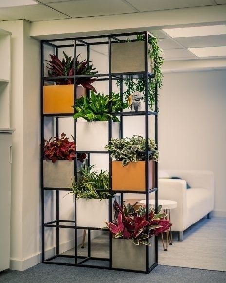 Loft mebel Andijon o'z xizmatlarini taklif qiladi