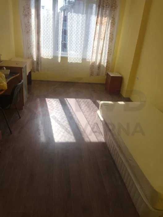 Стая в Център! 21910112