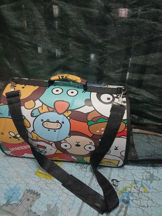 Продаётся девочка скоттиш страйт со всема принадлежностими, 7 месяца.