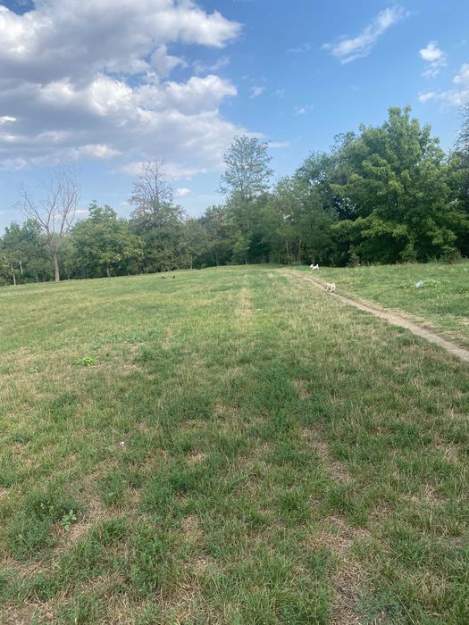 Teren intravilan la munte în Mănăstirea Humorului, 1,2 hectare, Acces din DJ asfalt,cu padure si poiana, panorama