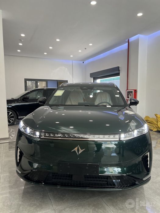Dongfeng EP008 max +