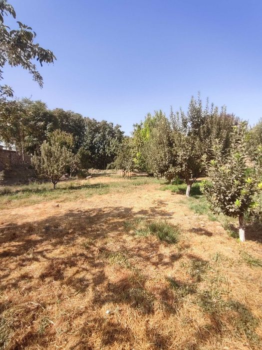 Продам срочно 30 соток под коттеджи Эркин