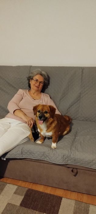 De vânzare storcător de fructe și legume