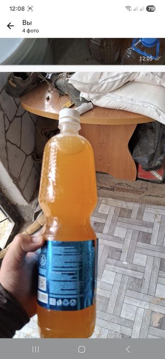 Университеттен Алла порно үшін шешінді