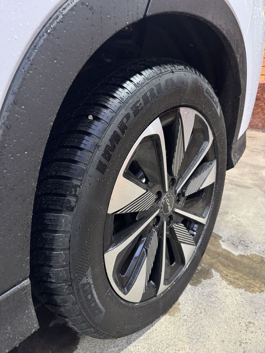 BYD chenpion restaling