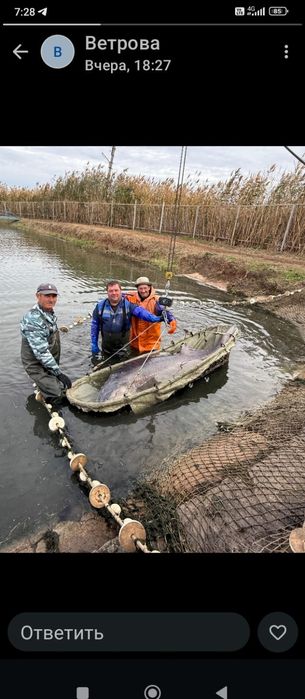 Продается рыба Белуга вес 3-5 кг