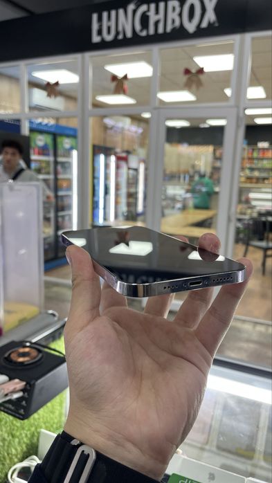 12 Pro Max 256GB