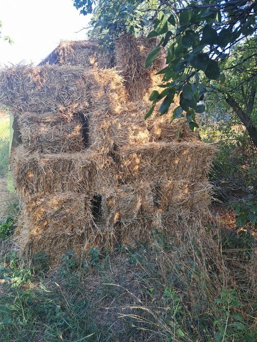 Baloți din paie de grâu