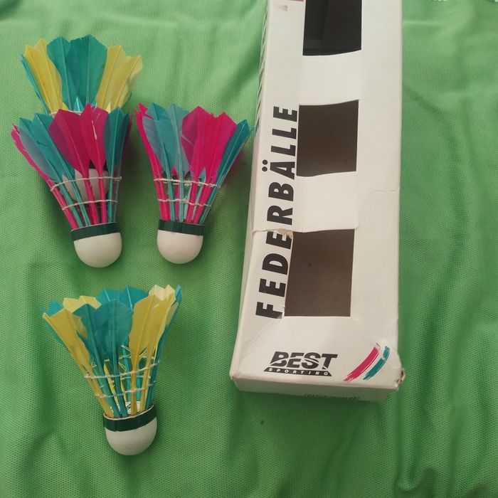 Fluturasi badminton Best