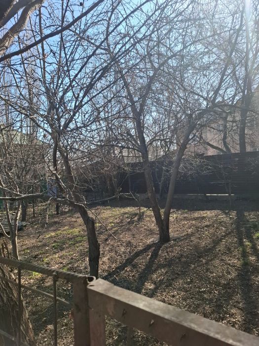 Дом частый алгабас