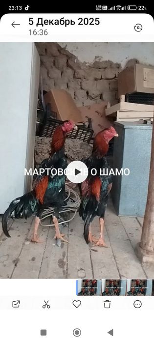 Сатлады срочнаа.