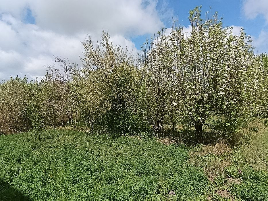 Yer ucastkasi qurish uchun tayyor