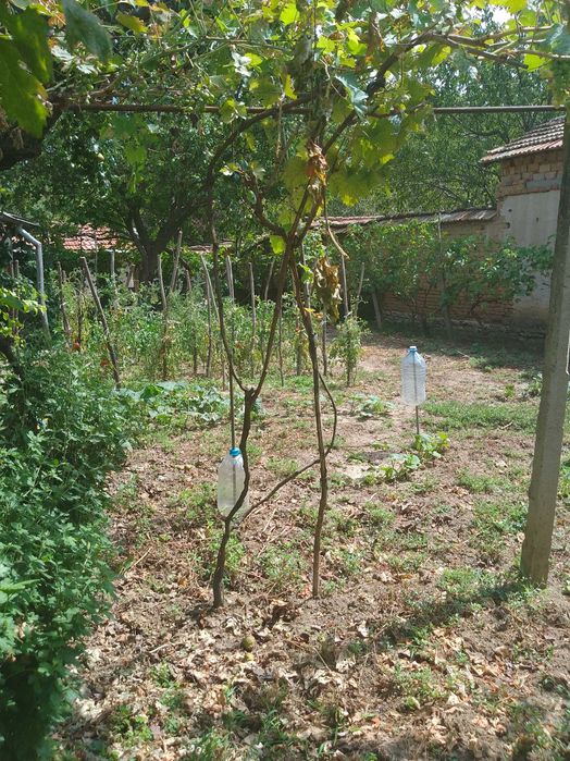 Продава се Къща в с. Садовец, Област Плевен - 505 кв.м за 46 €/кв.м - Снимка #14