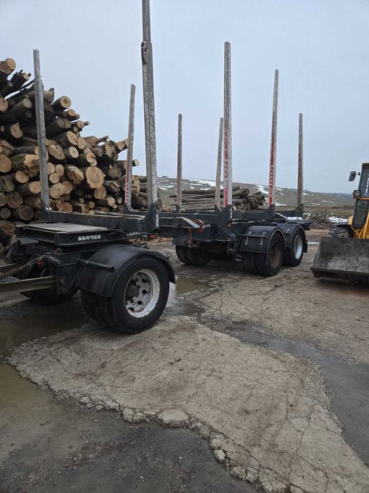 Ansamblu forestier Scania