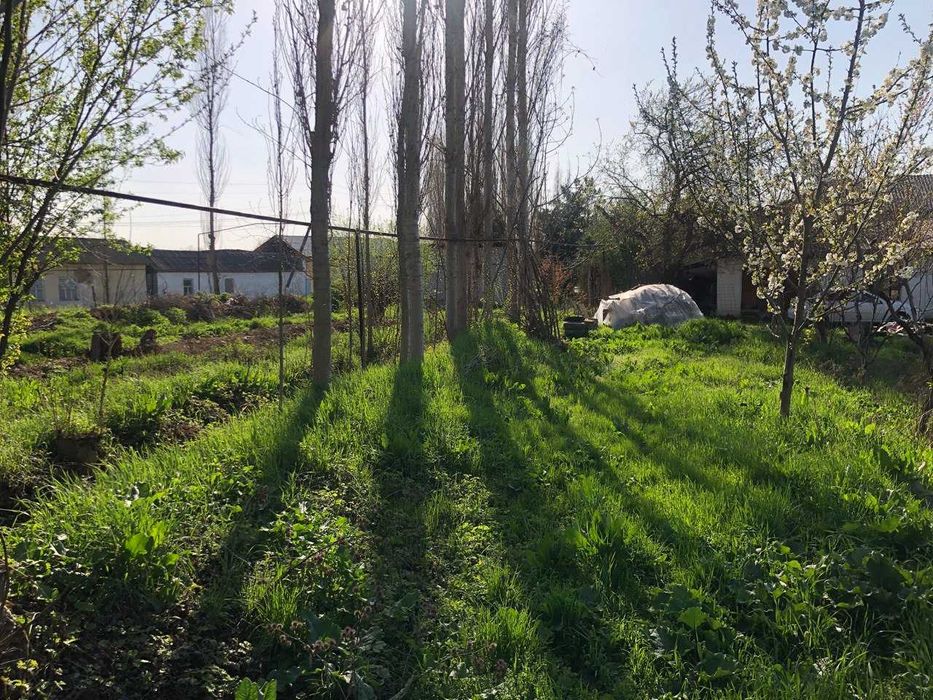 Yer sotiladi toytepada , dacha 25sotx