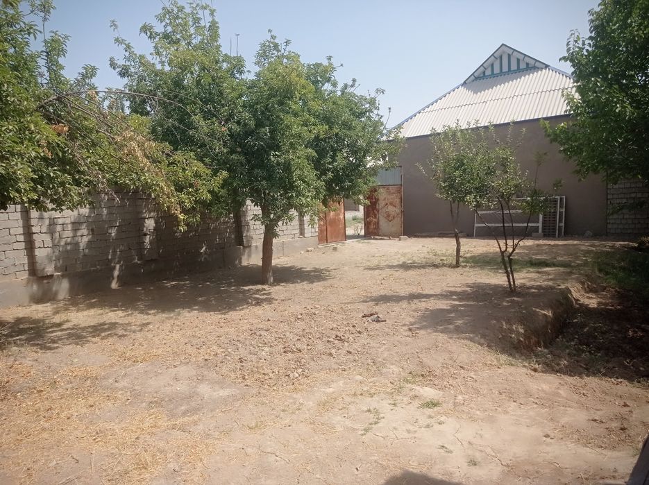 Aralovul mahallasidan 6 sutikli uchastka sotiladi,