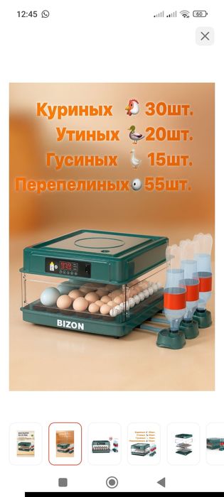 Инкубатор Бизон новый