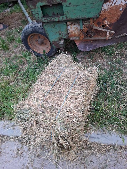 Baloți Fân/Lucernă