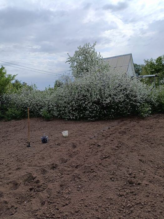 Продаю срочно дачу!