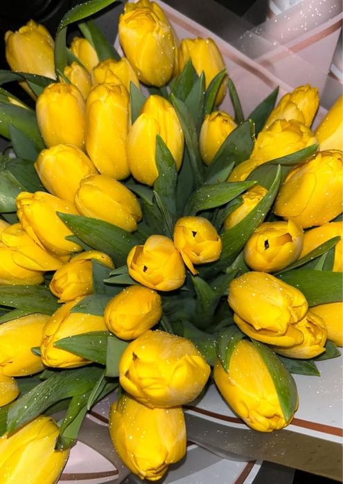 Тюлпан букеты, қызғалдақ