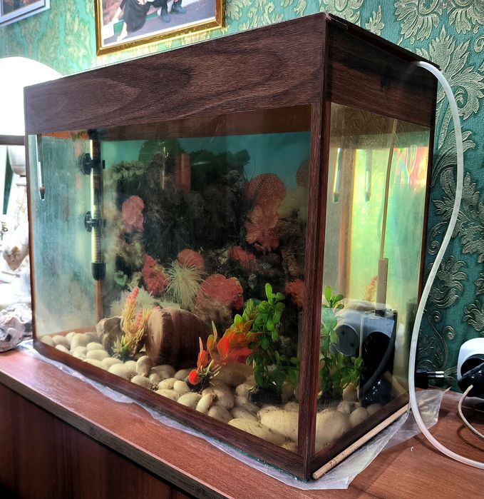 Аквариум с декором и оборудованием
