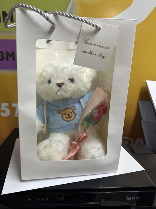 Медведь в пакете игрушка