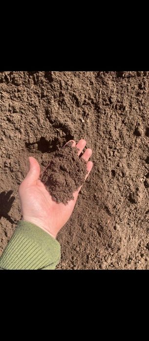 Продам Перегной Черназем навоз