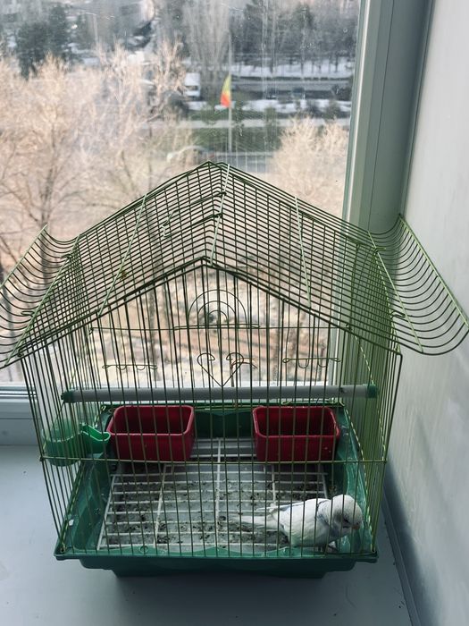 Клетка для попугая