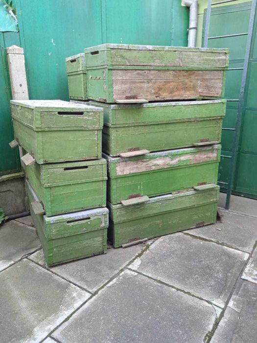 Vand lazi pentru trei familii de albine