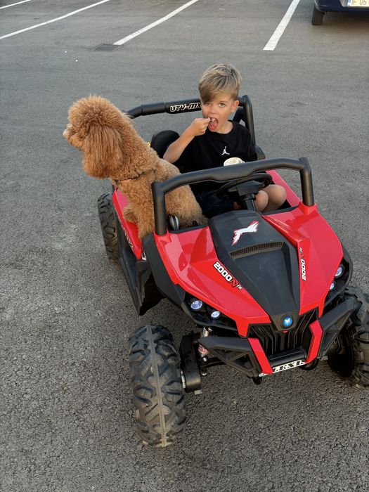 Vand Masinuta electrica UTV Buggy power 180KV