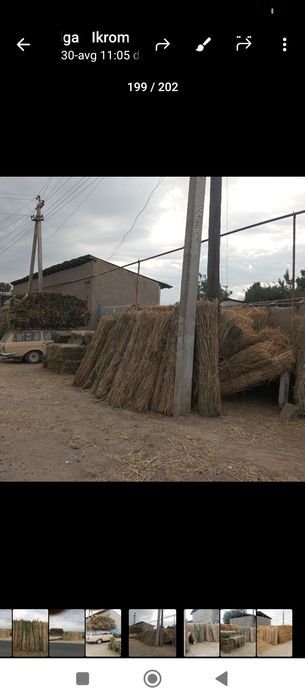 Xashak somon beda qamish