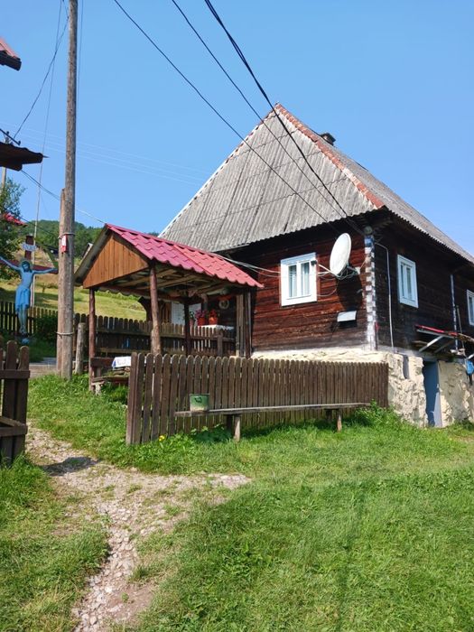 Case si teren de vanzare ALBAC, ALBA