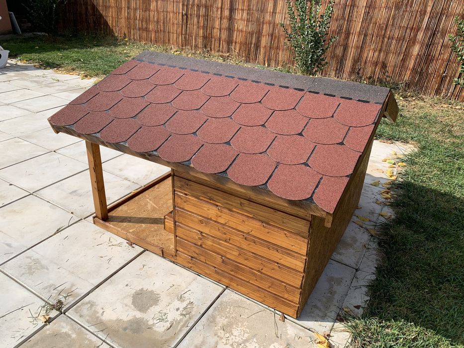 Cusca caine izolata premium