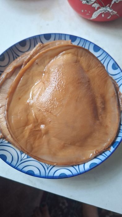 Продам чайный гриб