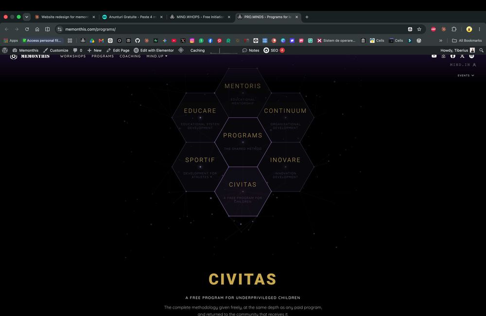 Website de la zero — design unic, bază de date, identitate vizuală completă