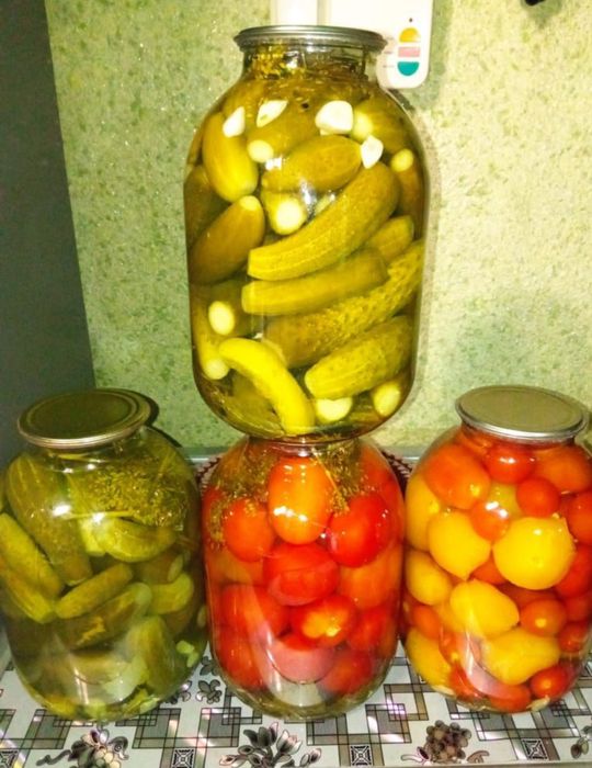 Засолка домашняя 2025 года.