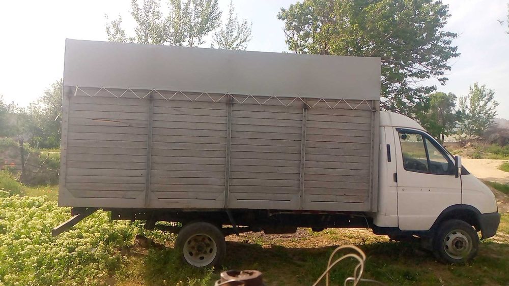 Gazel sotiladi bortli