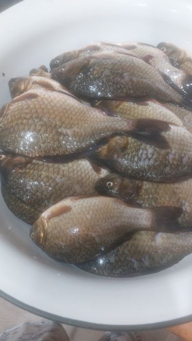Продам карась чищеный