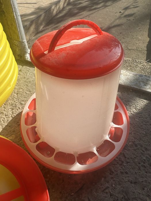 Hranitori pui diverse marimi